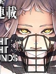 海贼王新冒险 - 航海冒险动漫
